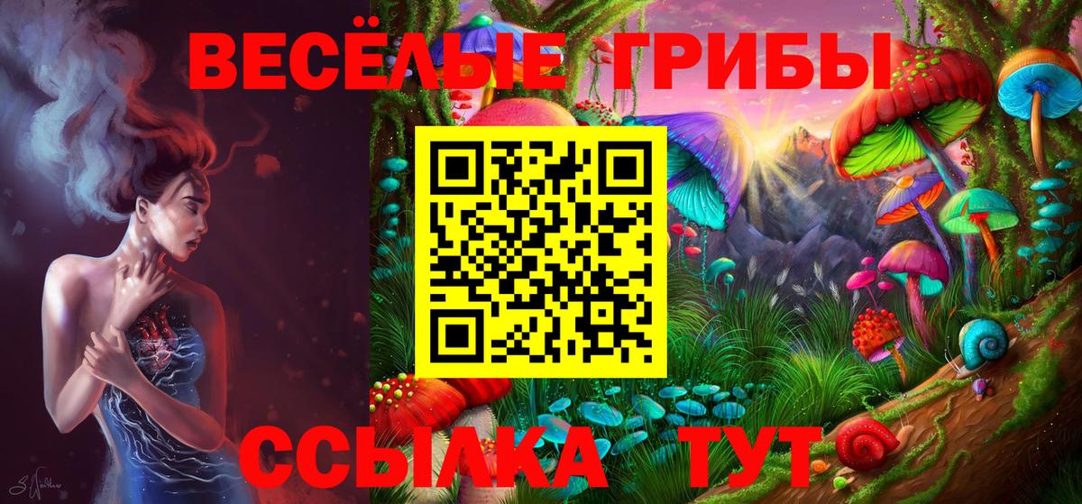 Псилоцибиновые грибы прущие грибы  Вход с VPN  Хасавюрт 