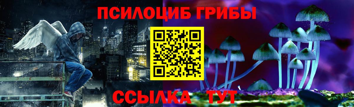 Псилоцибиновые грибы мухоморы Хасавюрт